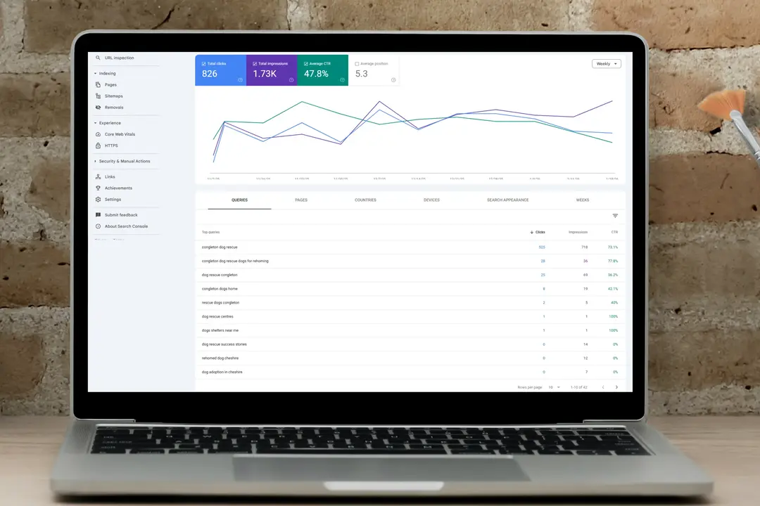 Congleton Dog Rescue SEO Performance