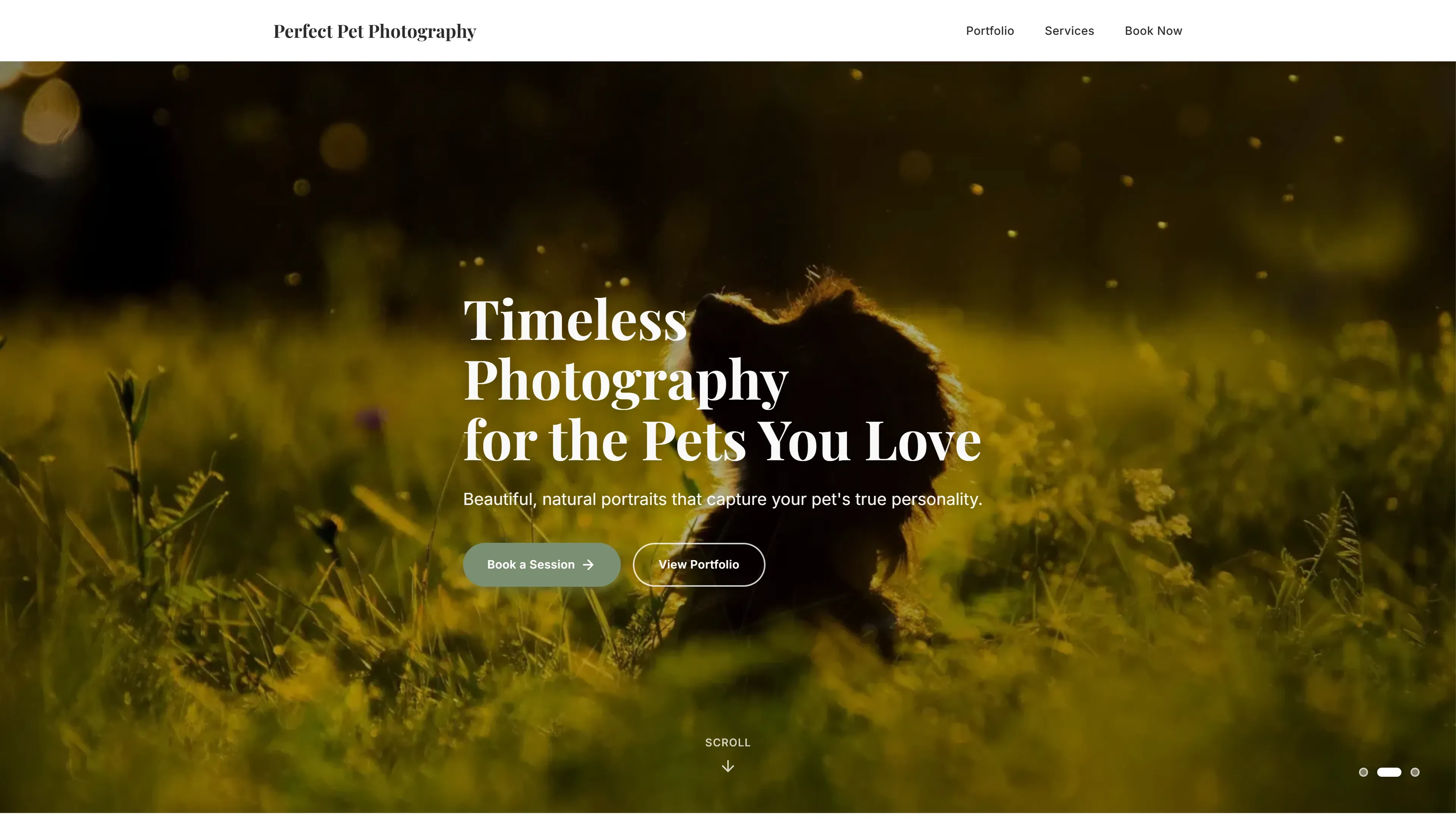 Perfect Pet Photography